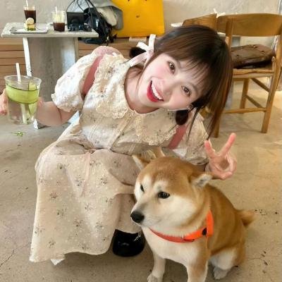 精灵高中 海报
