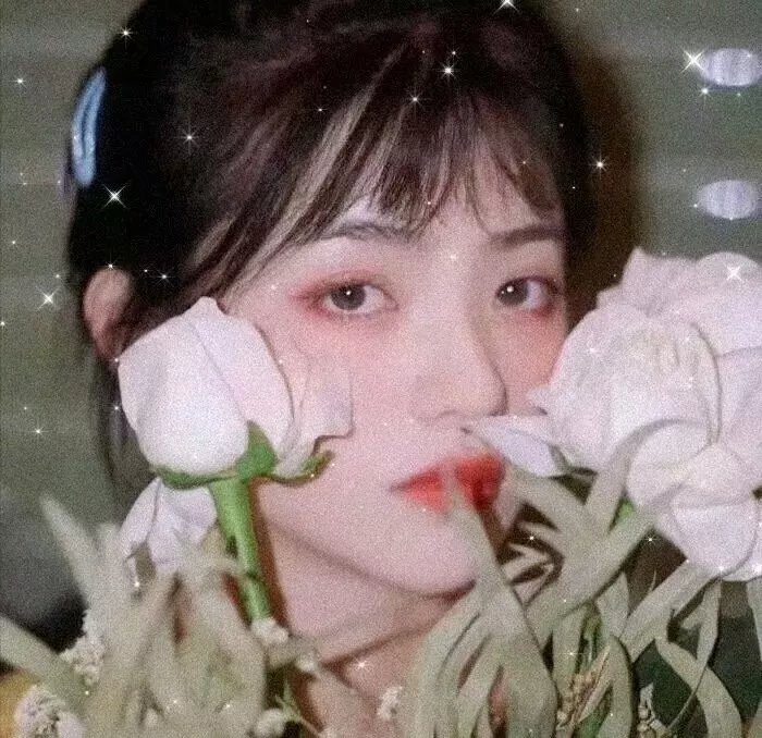 壁女 海报